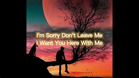 im sorry dont leave me|i'm sorry don't leave me lyrics english.